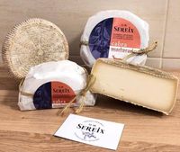 Queso_cabra_madurado