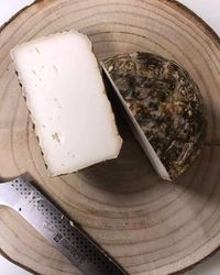 WCHA_Silver_2021_queso