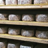 foto_cava maduraci&oacute;n