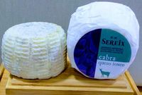 foto_queso_joven1